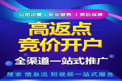 SEM专员案例：跨平台广告投放策略