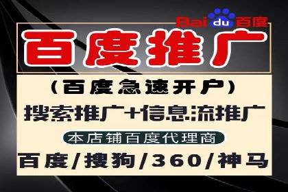 网络营销实战：成功竞价推广案例分析